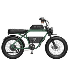 Электрический велосипед APE RYDER 20 Bonobo зеленый цена и информация | Электровелосипеды | hansapost.ee
