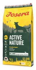 Josera Active Nature для активных собак всех пород с птицей, 12,5 кг цена и информация | Сухой корм для собак | hansapost.ee
