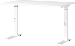 Письменный стол 7910, белый цена и информация | Компьютерные, письменные столы | hansapost.ee