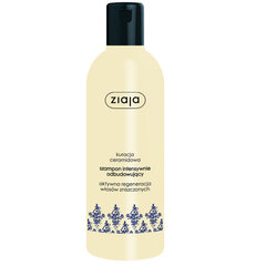 Intensiivne juukseid taastav šampoon keramiididega Ziaja, 300 ml hind ja info | Šampoonid | hansapost.ee