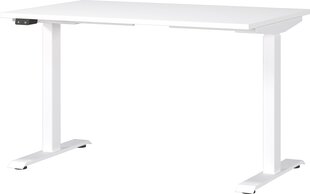 Письменный стол 7907, белый цена и информация | Компьютерные, письменные столы | hansapost.ee