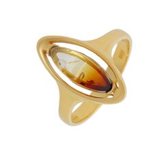 Серебряное кольцо с драгоценными камнями цена и информация | Кольцо | hansapost.ee
