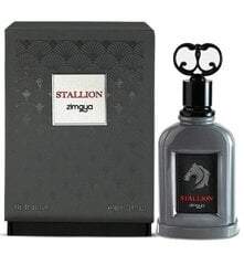 Parfüümvesi Stallion Zimaya EDP meestele, 100 ml hind ja info | Parfüümid meestele | hansapost.ee