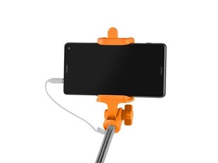 Natec NST-0983 цена и информация | Моноподы для селфи («Selfie sticks») | hansapost.ee