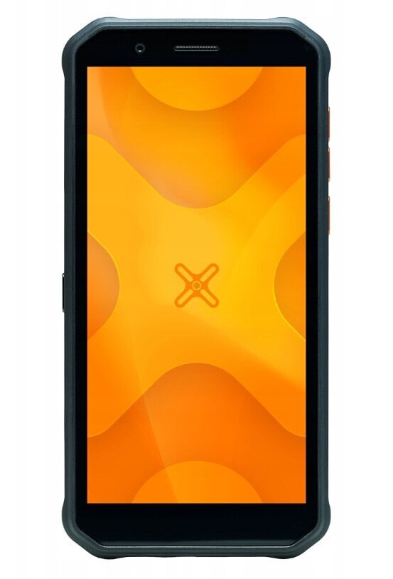 MyPhone Hammer Energy X, Black|Orange цена и информация | Telefonid | hansapost.ee