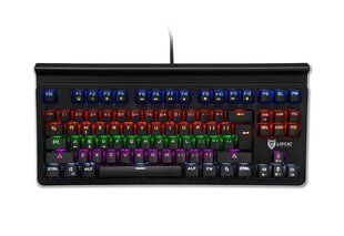 Liocat gaming keyboard KX 366+ CM mechanical black цена и информация | Клавиатура с игровой мышью 3GO COMBODRILEW2 USB ES | hansapost.ee