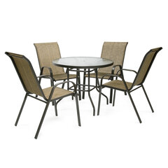 Садовая мебель DUBLIN стол и 4 стула, серебряно-серый цена и информация | Комплекты уличной мебели | hansapost.ee