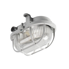 Овальный светильник с сеткой MILO 7040T/P цена и информация | Потолочные светильники | hansapost.ee