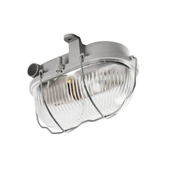 Овальный светильник с сеткой MILO 7040T цена и информация | Потолочные светильники | hansapost.ee