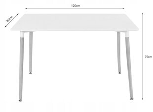 5-частный обеденный комплект Leobert Adria Mark, белый/серый цена и информация | Комплекты мебели для столовой | hansapost.ee