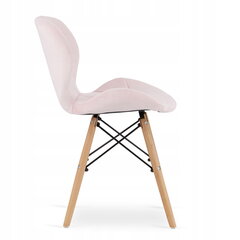 5-частный обеденный комплект Leobert Todi Lago, белый/розовый цена и информация | Комплекты мебели для столовой | hansapost.ee