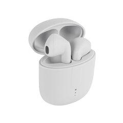 Setty Bluetooth earphones TWS with a charging case TWS-0 white цена и информация | Наушники | hansapost.ee