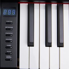 88-klahviline digitaalne klaver LiveStar LDP15 hind ja info | Klahvpillid | hansapost.ee