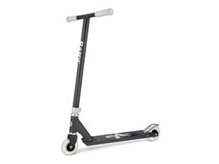 Tõukeratas Razor Pro X GY price and information | Tõukerattad | hansapost.ee