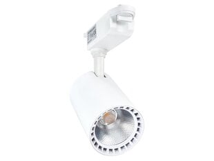 Светодиодный светильник для магазина Steka Ver.E 30W - Белый - Теплый белый (3000K) цена и информация | Люстры | hansapost.ee