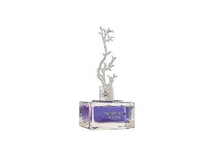 Парфюмированная вода Aurora Scents Deciduous Winter EDP для женщин, 100 мл цена и информация | Духи для Нее | hansapost.ee