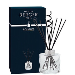 Диффузор для дома с палочками Maison Berger Paris Spiral Bouquet Reed Diffuser Transparent (без запаха), 222 мл цена и информация | Ароматы для дома | hansapost.ee