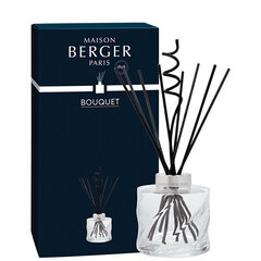 Kodulõhn pulkadega Maison Berger Paris Spiral Bouquet Reed Diffuser Transparent (lõhnatu), 222 ml hind ja info | Lõhnapulgad ja kodulõhnastajad | hansapost.ee