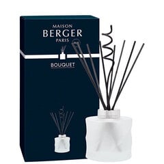 Диффузор для дома с палочками Maison Berger Paris Spiral Bouquet Reed Diffuser White (без запаха), 222 мл цена и информация | Ароматы для дома | hansapost.ee