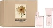 Komplekt Burberry Her naistele: parfüümvesi EDP, 50 ml + kehapiim, 75 ml price and information | Parfüümid naistele | hansapost.ee