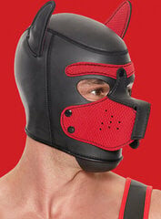 Mask Shots price and information | BDSM and fetish | hansapost.ee