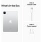 Apple TAB11 Apple iPad Pro 11 Wi-Fi 256 GB hõbedane цена и информация | Tahvelarvutid | hansapost.ee