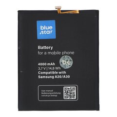 BlueStar PT-432306 цена и информация | Аккумуляторы для телефонов | hansapost.ee