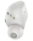Sennheiser Accentum True Wireless Earbuds White (676964) hind ja info | Kõrvaklapid | hansapost.ee