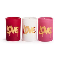 Revolution Home Набор ароматических свечей Love Collection Love Is In The Air Mini Candle Gift Set 3 x 40 г цена и информация | Подсвечники, свечи | hansapost.ee