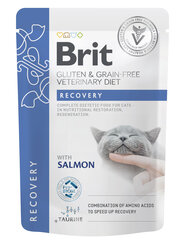 Brit GF Veterinary Diets Recovery с лососем, 85 гр. цена и информация | Консервы для кошек | hansapost.ee