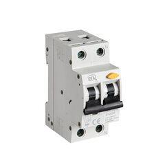 Автоматический выключатель с защитой от сверхтоков KRO6 2P B10 30mA AC Kanlux Ideal цена и информация | Выключатели, розетки | hansapost.ee