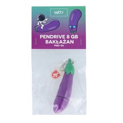 Setty PND-06 USB Флеш Накопитель 8GB цена и информация | USB накопители | hansapost.ee