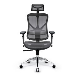 Эргономичное кресло Diablo V-Basic черно-серого цвета цена и информация | Офисные кресла | hansapost.ee