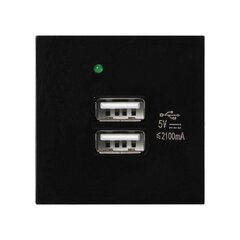 Модульный порт с зарядным устройством 2xUSB OR-GM-9010/B/USBX2 цена и информация | Выключатели, розетки | hansapost.ee