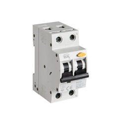 Автоматический выключатель с сегментом перегрузки по току KRO6 2P B6 30mA AC Ideal цена и информация | Выключатели, розетки | hansapost.ee