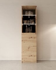Тумба ADRK Furniture Evi II, коричневая цена и информация | Шкафчики в гостиную | hansapost.ee