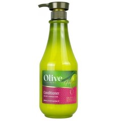 Кондиционер для волос Frulatte Olive, 800 мл цена и информация | Бальзамы, кондиционеры | hansapost.ee