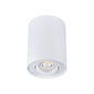 Kanlux laelamp Bord DLP-50-W hind ja info | Laelambid | hansapost.ee