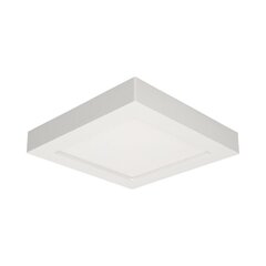 Lubi laevalgusti price and information | Ceiling lamps | hansapost.ee