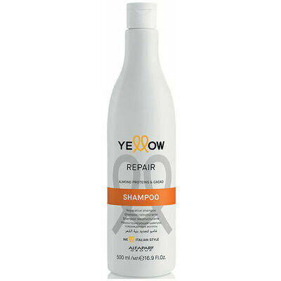 Šampoon Alfaparf Yellow Repair, 500 ml цена и информация | Šampoonid | hansapost.ee