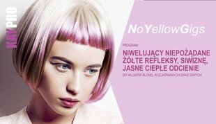 KayPro Anti-Yellow SHAMPOO AntiYellowGigs — Седые, суперосветленные или обесцвеченные волосы — 350 мл цена и информация | Шампуни | hansapost.ee