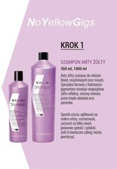 KayPro Anti-Yellow SHAMPOO AntiYellowGigs — Седые, суперосветленные или обесцвеченные волосы — 1000 мл цена и информация | Шампуни | hansapost.ee