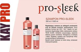 Šampoon keemiliselt töödeldud juustele KayPro Disciplinin Pro-Sleek Liss System, 1000 ml hind ja info | Šampoonid | hansapost.ee