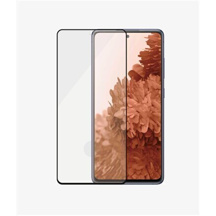 Ümbris PanzerGlass, telefonile Samsung Galaxy S21+ hind ja info | Ekraani kaitseklaasid ja kaitsekiled | hansapost.ee