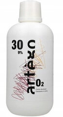 Artego Developer oksüdeerija 30Vol 9%, 1000ml цена и информация | Краска для волос | hansapost.ee