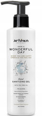 ARTEGO Wonderful Day antibakteriaalne geel 1000ml price and information | Manicure and pedicure accessories | hansapost.ee