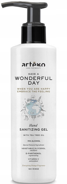 ARTEGO Wonderful Day antibakteriaalne geel 1000ml hind ja info | Maniküüri ja pediküüri tarvikud | hansapost.ee