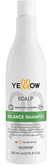 Alfaparf Yellow Scalp Balance šampoon 500 ml цена и информация | Шампуни | hansapost.ee