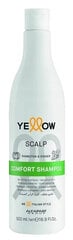 Šampoon Alfaparf Yellow Scalp Comfort Shampoo 500 ml hind ja info | Šampoonid | hansapost.ee