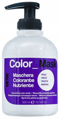 KayPro Color Mask Violet, 300ml hind ja info | Juuksemaskid, õlid ja seerumid | hansapost.ee